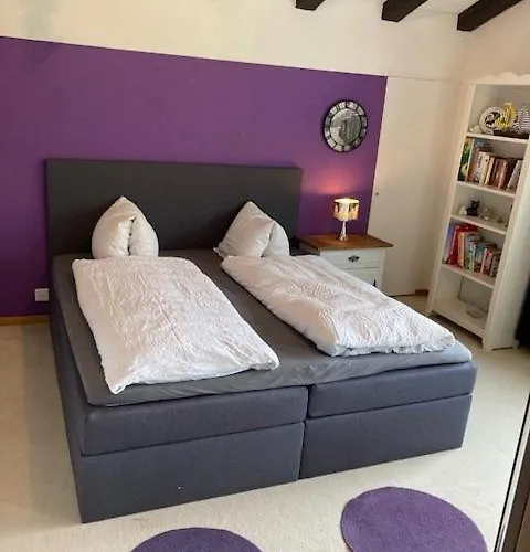 公寓 Duplex Edelweiss 格雷兴